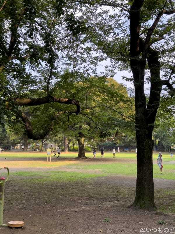 広角レンズ(x2.0)撮影例