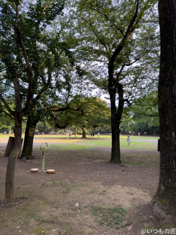 広角レンズ(x1.0)撮影例