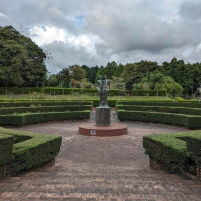 広角カメラ（光学ズーム1倍）