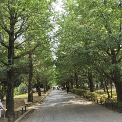 OPPO Reno9 A 風景写真の作例３