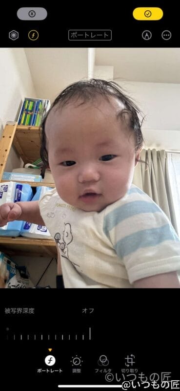 背景ボケなし
