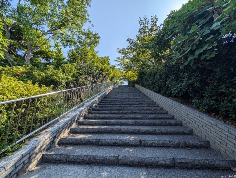 Google Pixel 9 Pro XL カメラ
Google Pixel 9 Pro XL でHDR撮影した写真