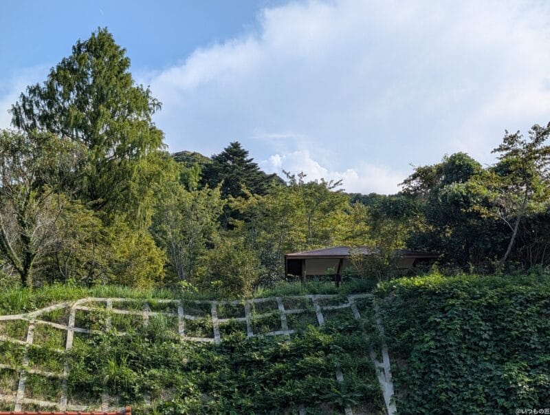 Google Pixel 9 Pro XL カメラ
Google Pixel 9 Pro XL でHDR撮影した写真