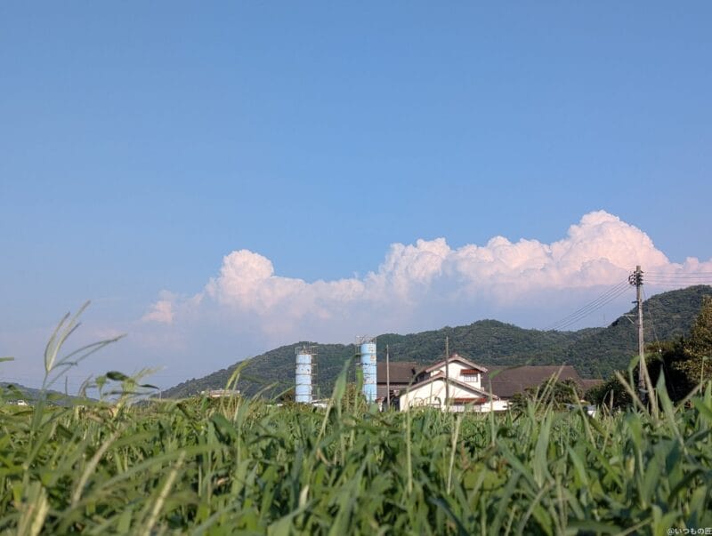 Google Pixel 9 Pro XL カメラ
Google Pixel 9 Pro XLで撮影した風景写真