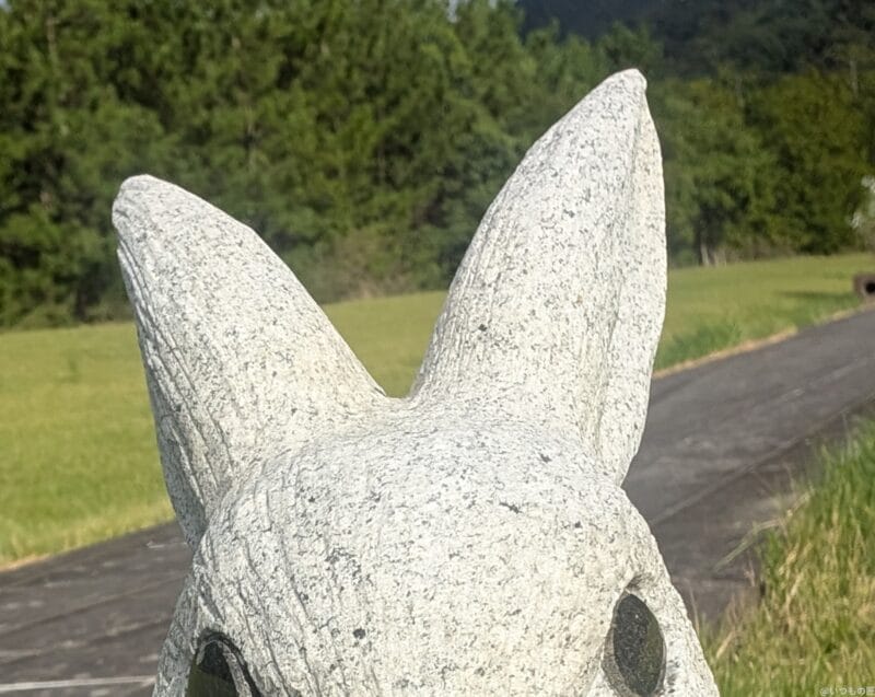 Google Pixel 9 Pro カメラ
Google Pixel 9 Pro のインカメラでズーム撮影した写真