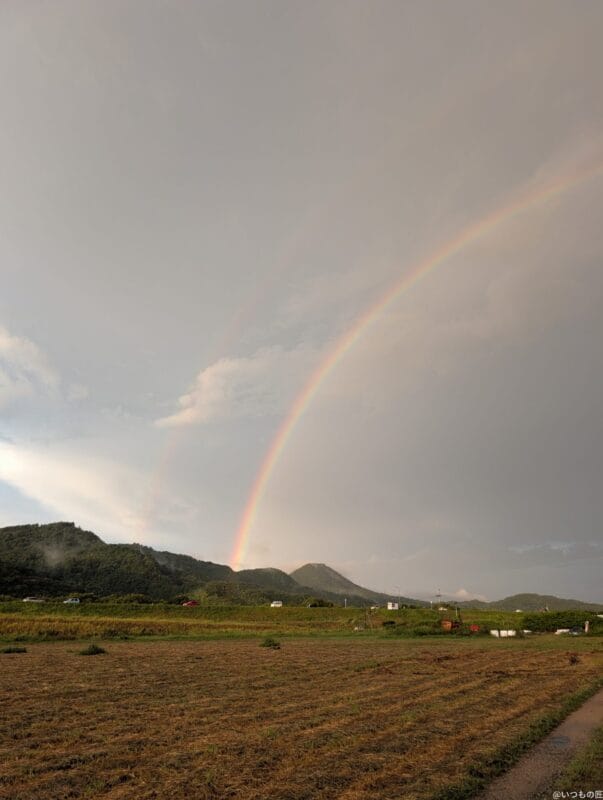 Google Pixel 9 Pro カメラ
Google Pixel 9 Pro で撮影した風景写真