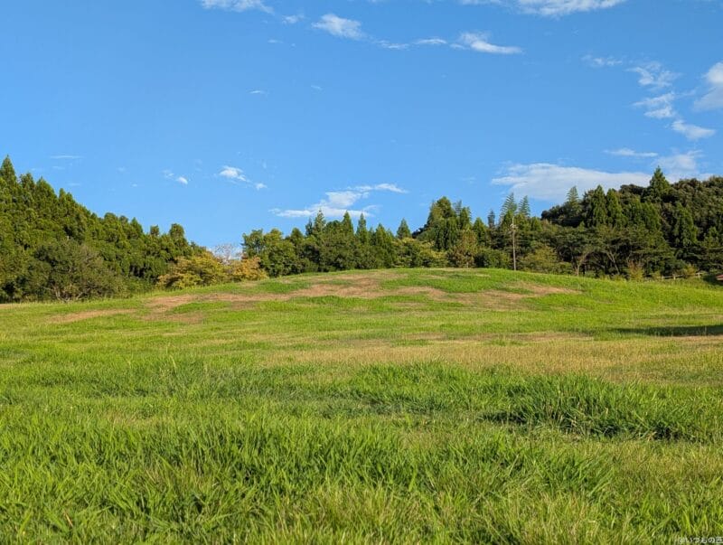 Google Pixel 9 Pro カメラ
Google Pixel 9 Pro で撮影した風景写真