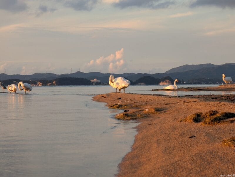 Google Pixel 9 Pro カメラ
Google Pixel 9 Pro でズーム撮影した風景写真