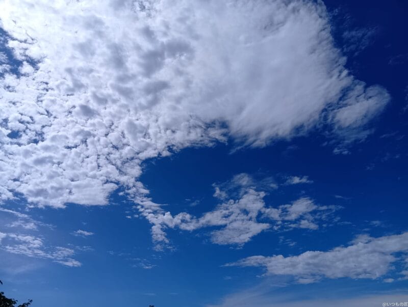 AQUOS wish4 カメラ
AQUOS wish4 で撮影した風景写真