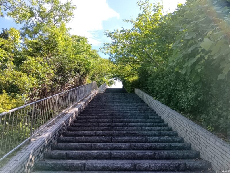 AQUOS wish4 カメラ
AQUOS wish4 で撮影した風景写真