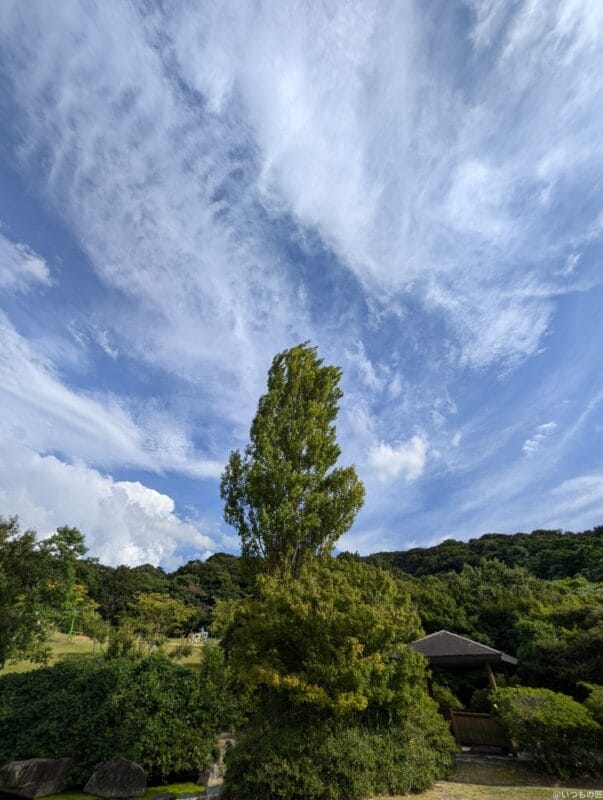 Google Pixel 9 口コミ 評価
Google Pixel 9 で撮影した風景写真