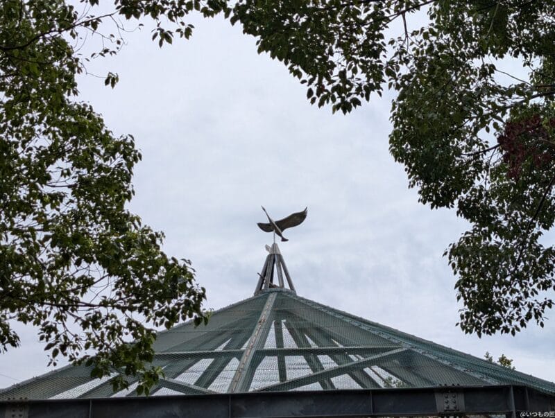 Google Pixel 9 カメラ
Google Pixel 9 で撮影した風景写真