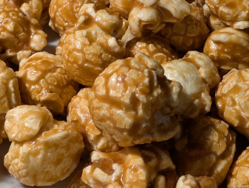 Google Pixel 9 カメラ
Google Pixel 9 でマクロ撮影した写真