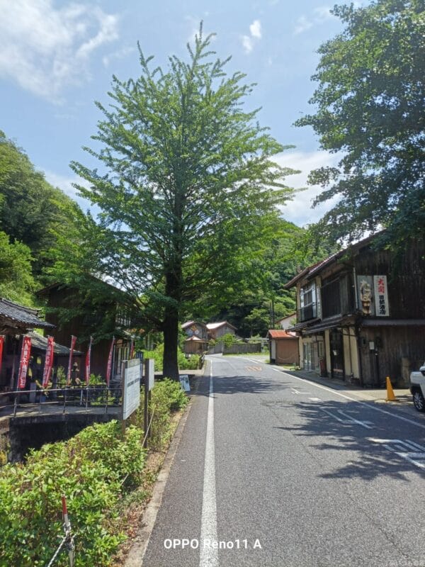 OPPO Reno11 A カメラ
OPPO Reno11 A カメラの風景写真