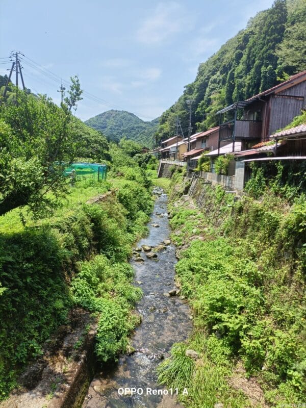 OPPO Reno11 A カメラ 
OPPO Reno11 A カメラの風景写真