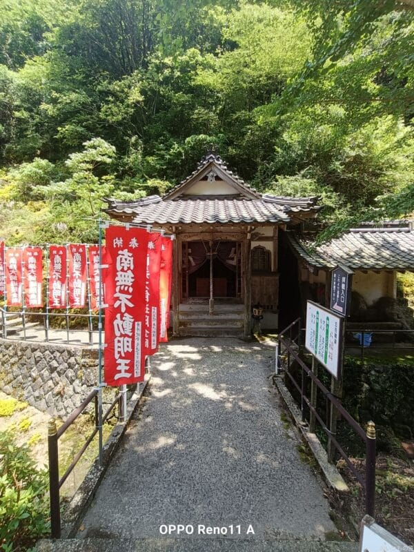 OPPO Reno11 A カメラ 
OPPO Reno11 A カメラの風景写真