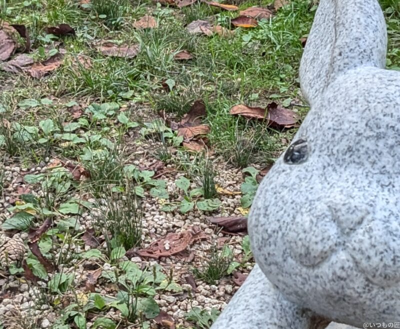 Google Pixel 8a カメラ
Google Pixel 8aのインカメラで撮影した写真