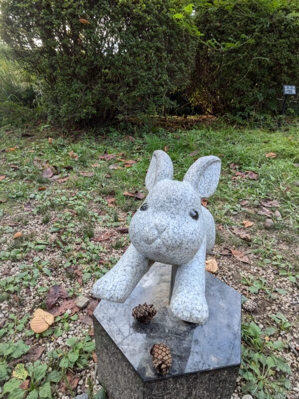 Google Pixel 8a カメラ
Google Pixel 8aのインカメラで撮影した写真