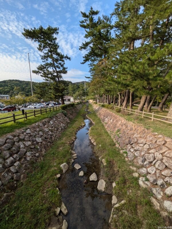 Google Pixel 8a カメラ
Google Pixel 8aで撮影した風景写真