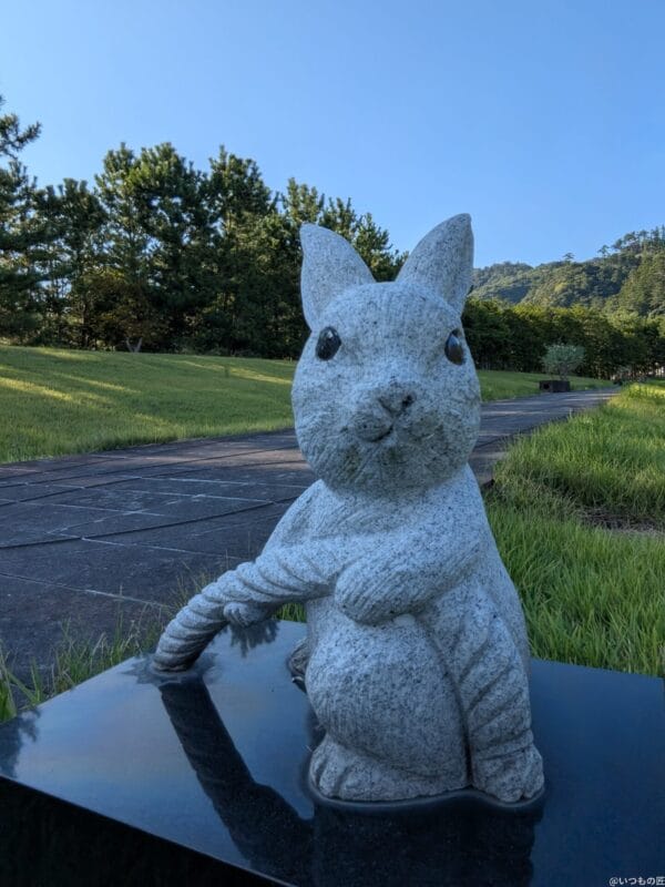 Google Pixel 9 Pro Fold カメラ
Google Pixel 9 Pro Fold の内側前面カメラでズーム撮影した写真