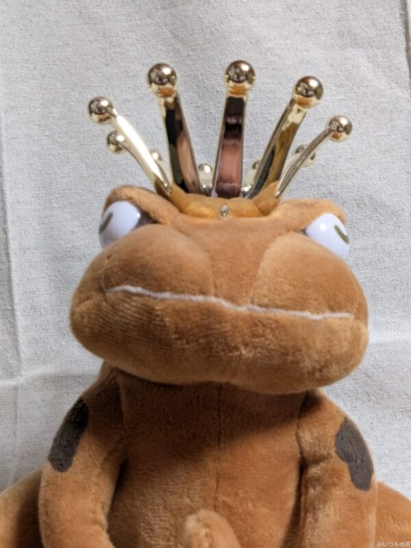 Google Pixel 9 Pro Fold カメラ
Google Pixel 9 Pro Fold の内側前面カメラでズーム撮影した写真