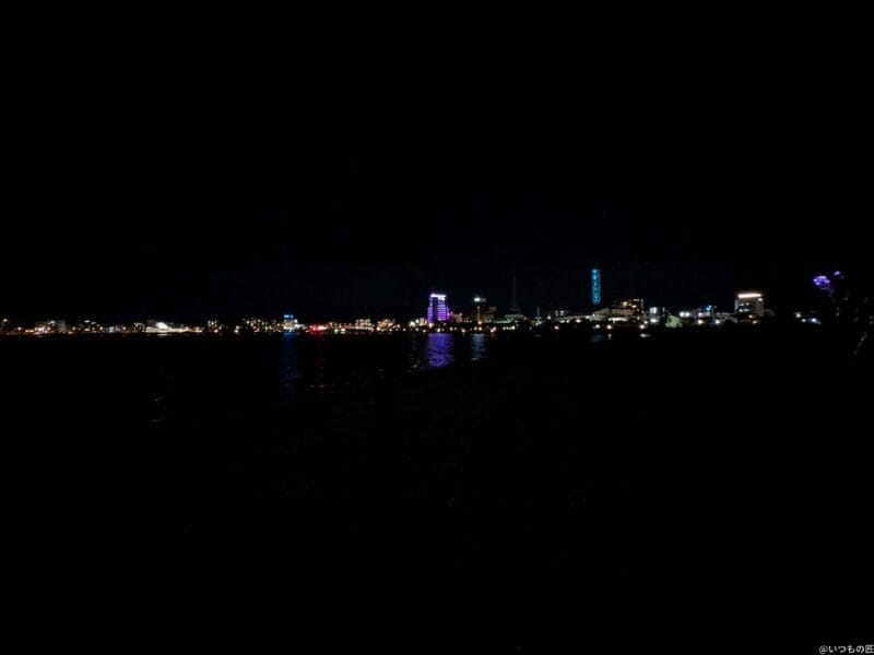 Google Pixel 9 Pro Fold カメラ
Google Pixel 9 Pro Foldの通常モードでズーム撮影した夜景写真