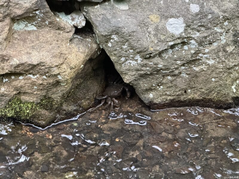 iPhone 16 Pro/16 Pro Max カメラ iPhone 16 Pro Maxで撮影した風景写真