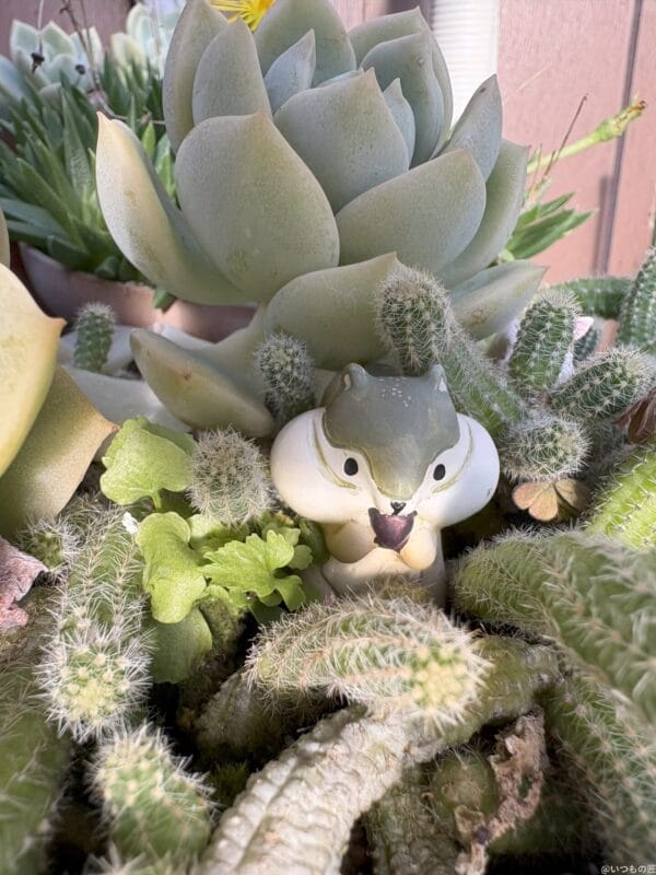 iPhone 16/16 Plus カメラ
iPhone 16でマクロ撮影した写真