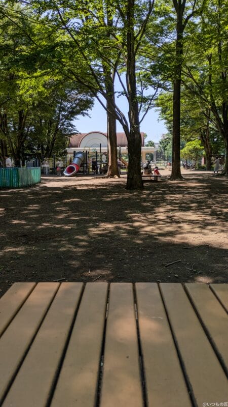 Google Pixel 8a カメラ
Google Pixel 8aで撮影した風景写真