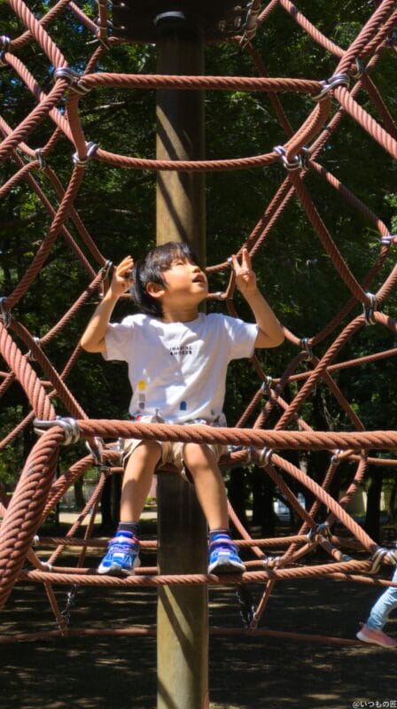 Google Pixel 8a カメラ
Google Pixel 8aで撮影したポートレート写真