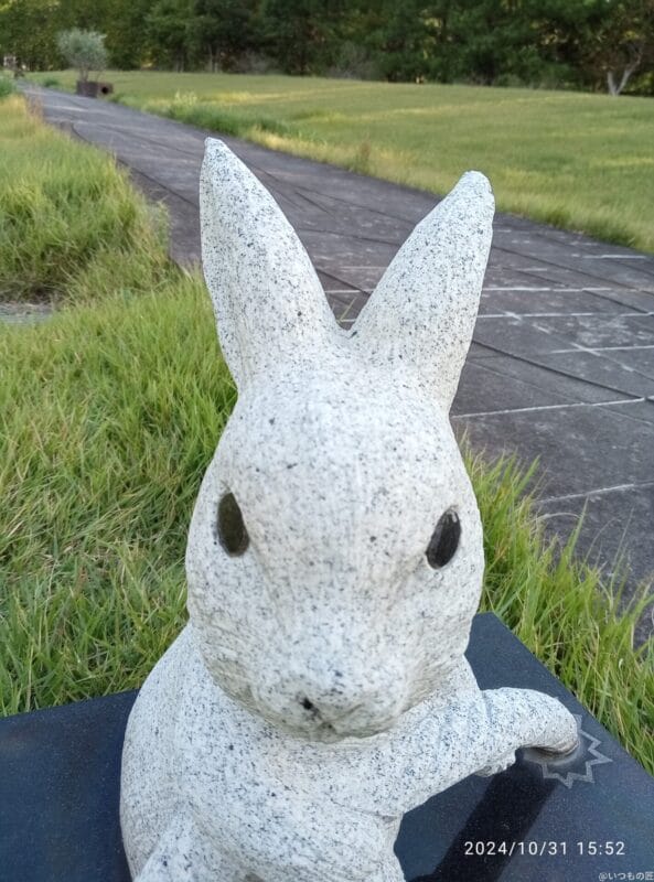 Xiaomi Redmi 14C カメラ
Xiaomi Redmi 14C インカメラで撮影した写真