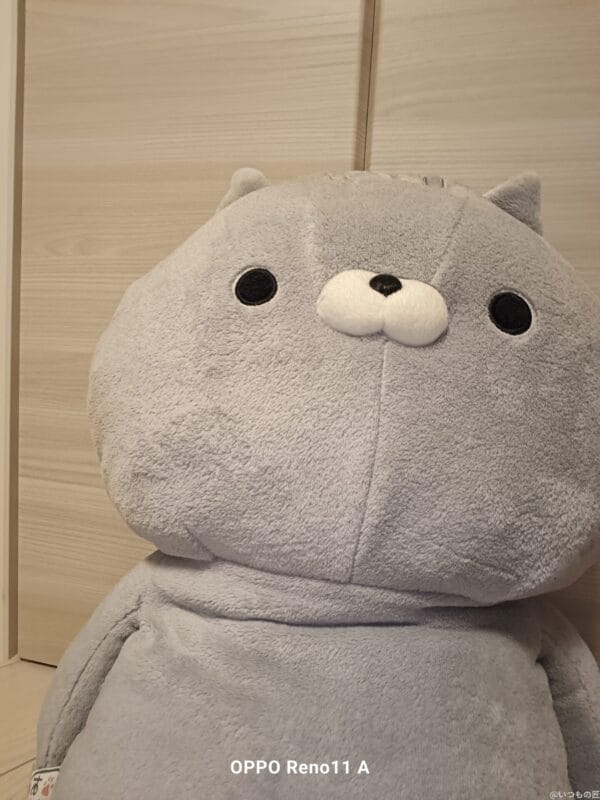 OPPO Reno11 A レビュー
OPPO Reno11 A のインカメラで撮影した写真