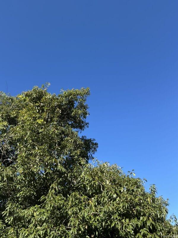 iPad mini 第7世代 カメラ
iPad mini 第7世代 で撮影した風景写真