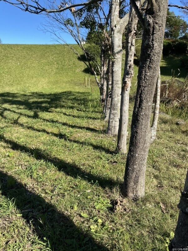 iPad mini 第7世代 カメラ
iPad mini 第7世代 で撮影した風景写真