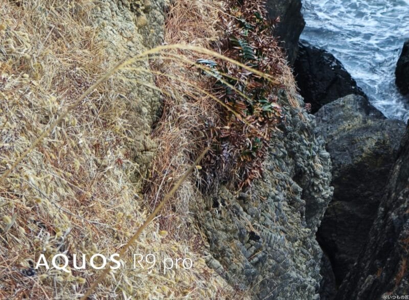 AQUOS R9 pro カメラ
AQUOS R9 proで撮影した風景写真