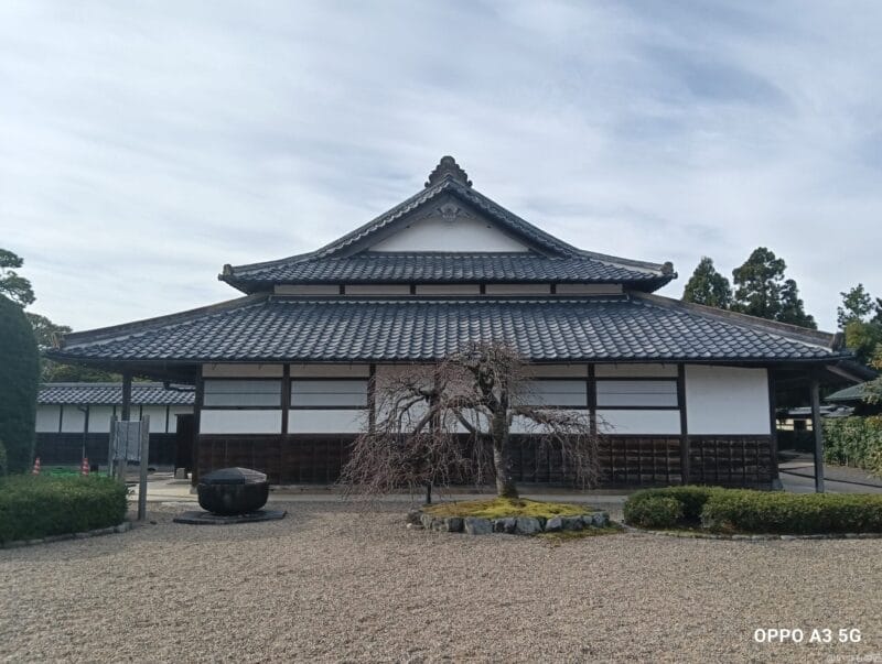 OPPO A3 5G カメラ
OPPO A3 5G カメラで撮影した風景写真