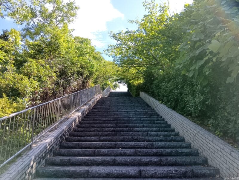 moto g64 5G カメラ
AQUOS wish4 カメラで撮影した風景写真