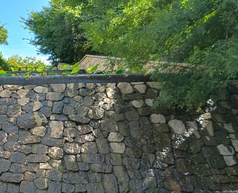 moto g64 5G カメラ
moto g64 5G カメラでHDR撮影した風景写真