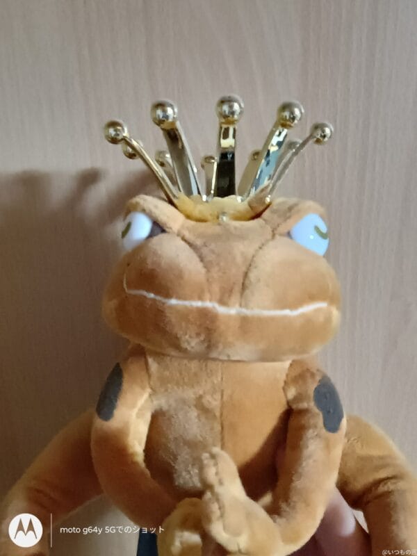 moto g64 5G カメラ
moto g64 5G インカメラで撮影した写真