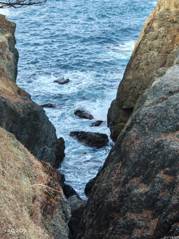 AQUOS R9 pro カメラ
AQUOS R9 proで撮影した風景写真