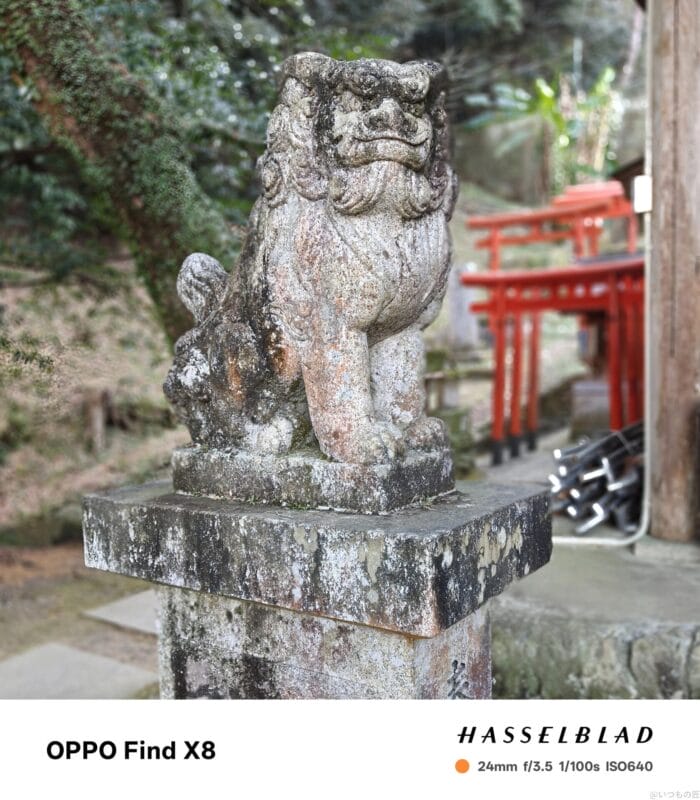 OPPO Find X8 カメラ
OPPO Find X8で撮影したポートレート写真