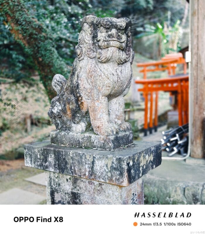 OPPO Find X8 カメラ
OPPO Find X8で撮影したポートレート写真