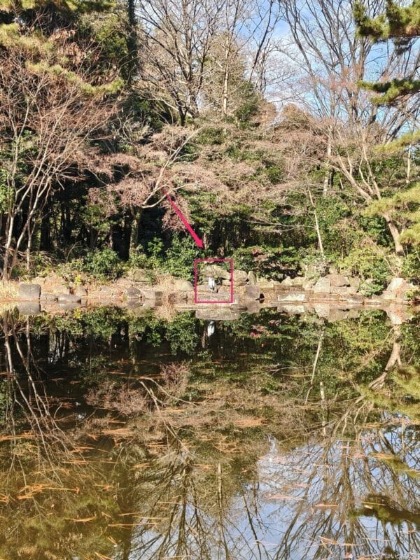 OPPO Find X8 カメラ OPPO Find X8でズーム撮影した写真