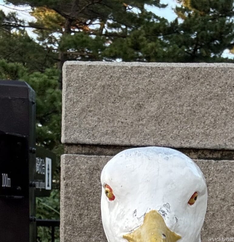 AQUOS R9 pro カメラ
iPhone 16 Pro MAXのインカメラで撮影した写真