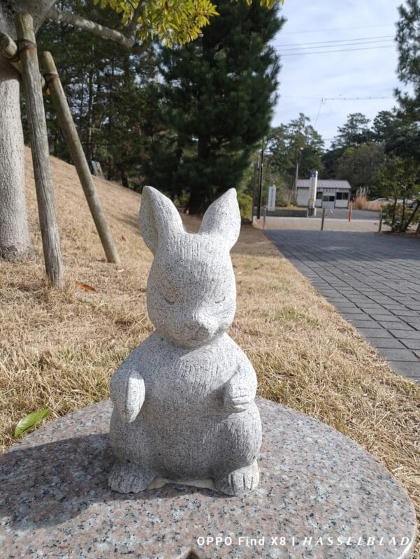 OPPO Find X8 カメラ
OPPO Find X8のインカメラで撮影した写真