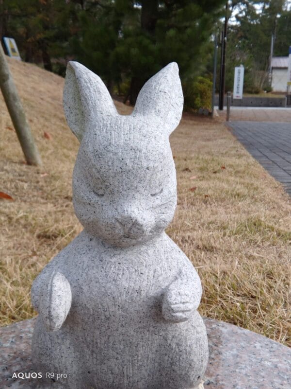 AQUOS R9 pro カメラ
AQUOS R9 proのインカメラで撮影した写真