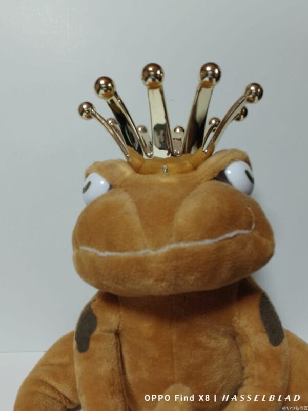 OPPO Find X8 カメラ
OPPO Find X8のインカメラで撮影した写真