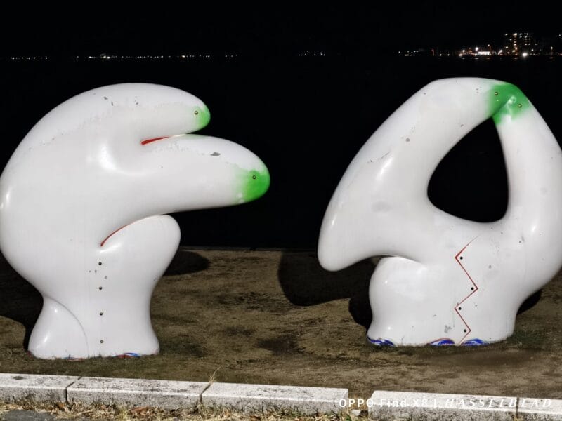 OPPO Find X8 カメラ
OPPO Find X8でズーム撮影した夜景写真