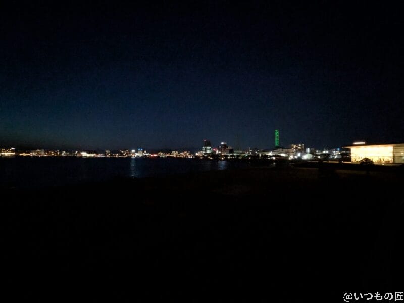 Google Pixel 9a カメラ
Google Pixel 9aでズーム撮影した夜景写真
