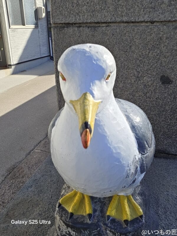 Galaxy S25 Ultra カメラ
鳥の銅像を自撮り撮影した一枚